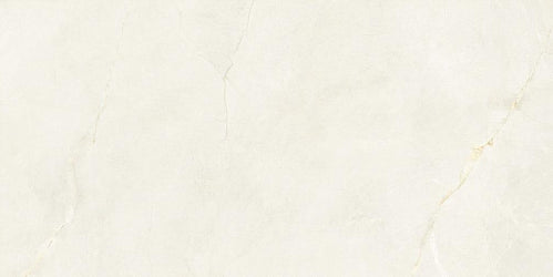 ALDRIN BEIGE (P) 24X48 15.5 SF