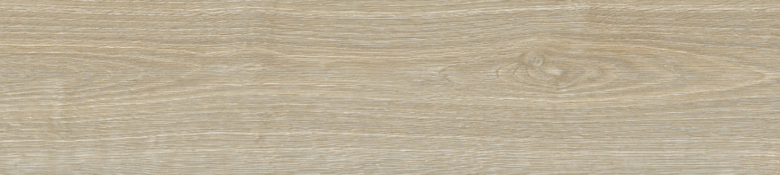 BATCH-050726-LAMOSAUSA