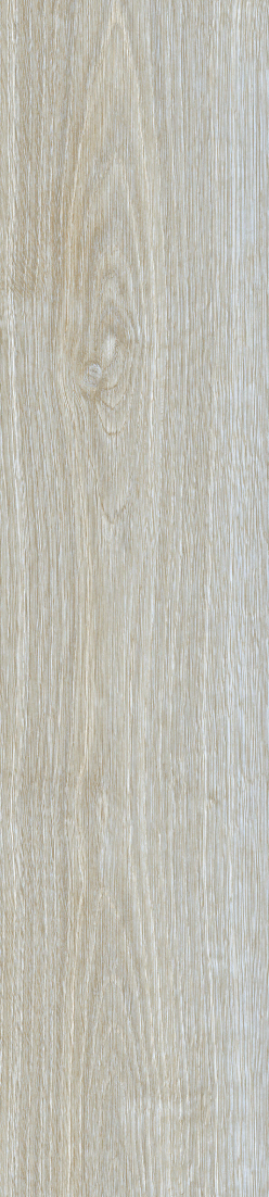 BATCH-050726-LAMOSAUSA