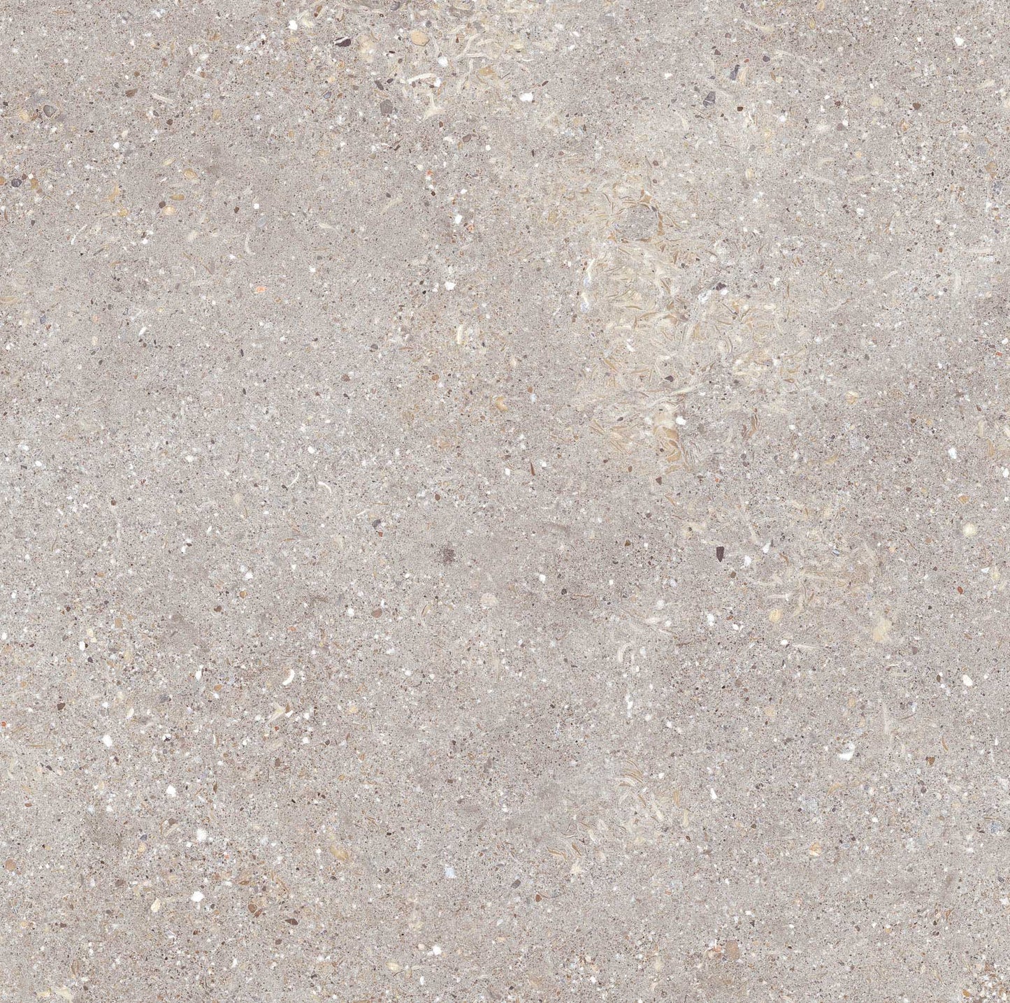 BATCH-050726-PORCELANITE