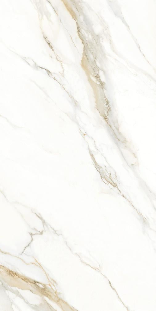 CARRARA GOLD 24X48 15.5 SF