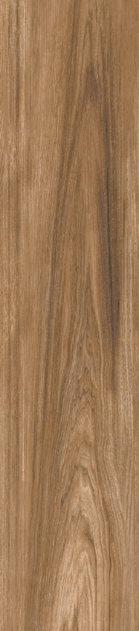 BATCH-050726-LAMOSAUSA