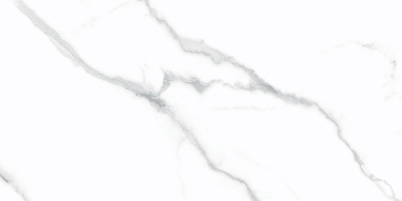 DOM WHITE GLOSS 24X24 19.37 SF