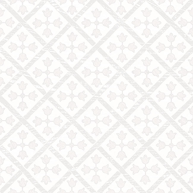 BATCH-051126-GLAZZIO