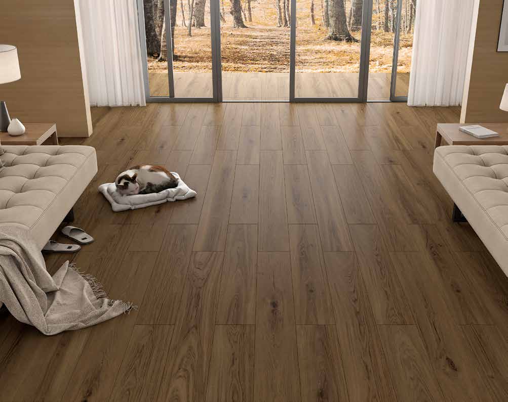 BATCH-050726-PORCELANITE
