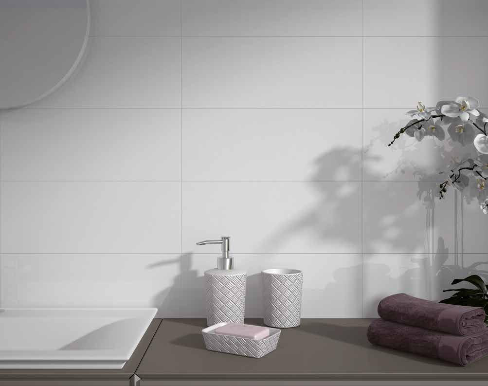 BATCH-050726-PORCELANITE