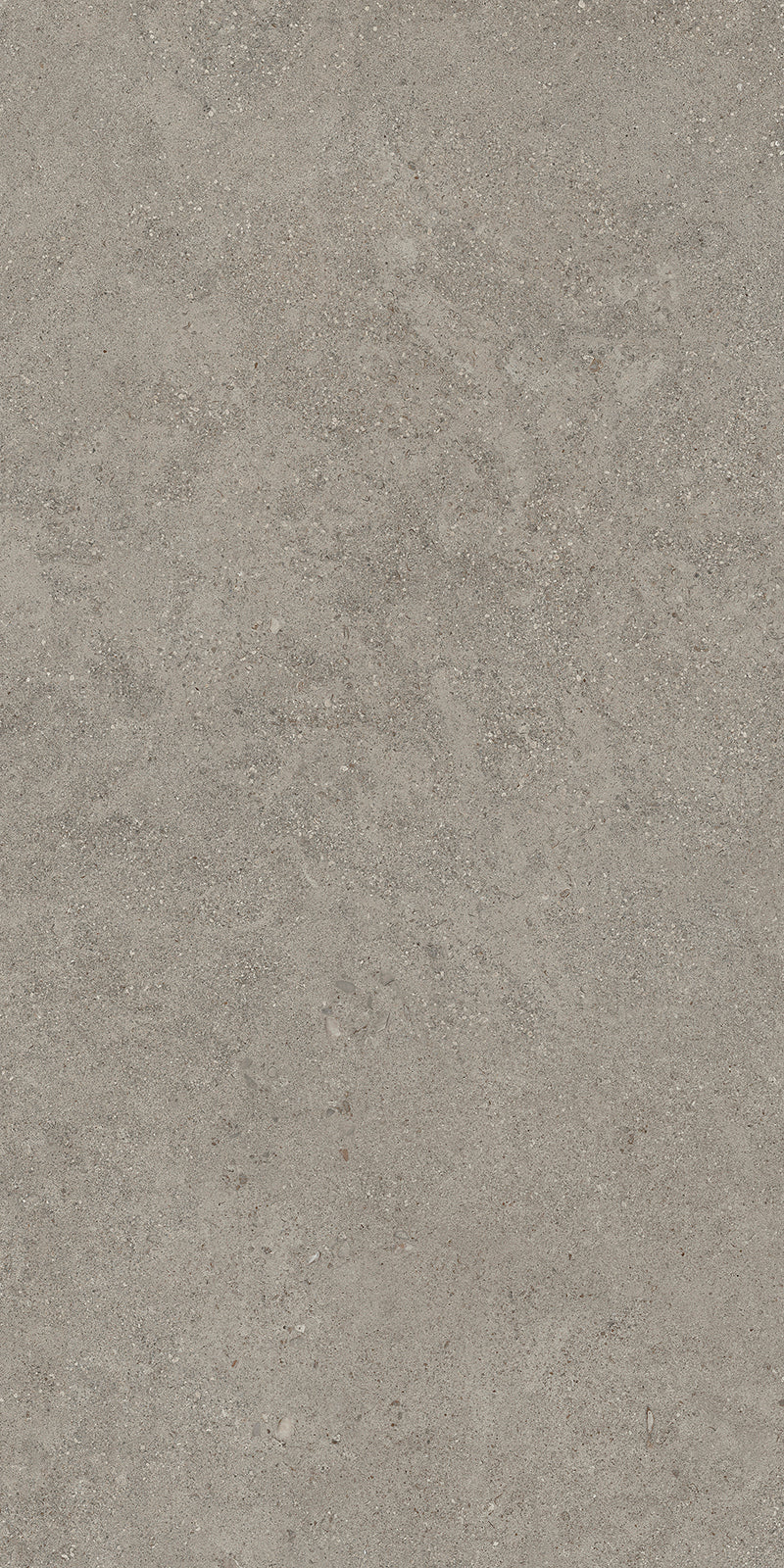 BATCH-040326-TAGINA