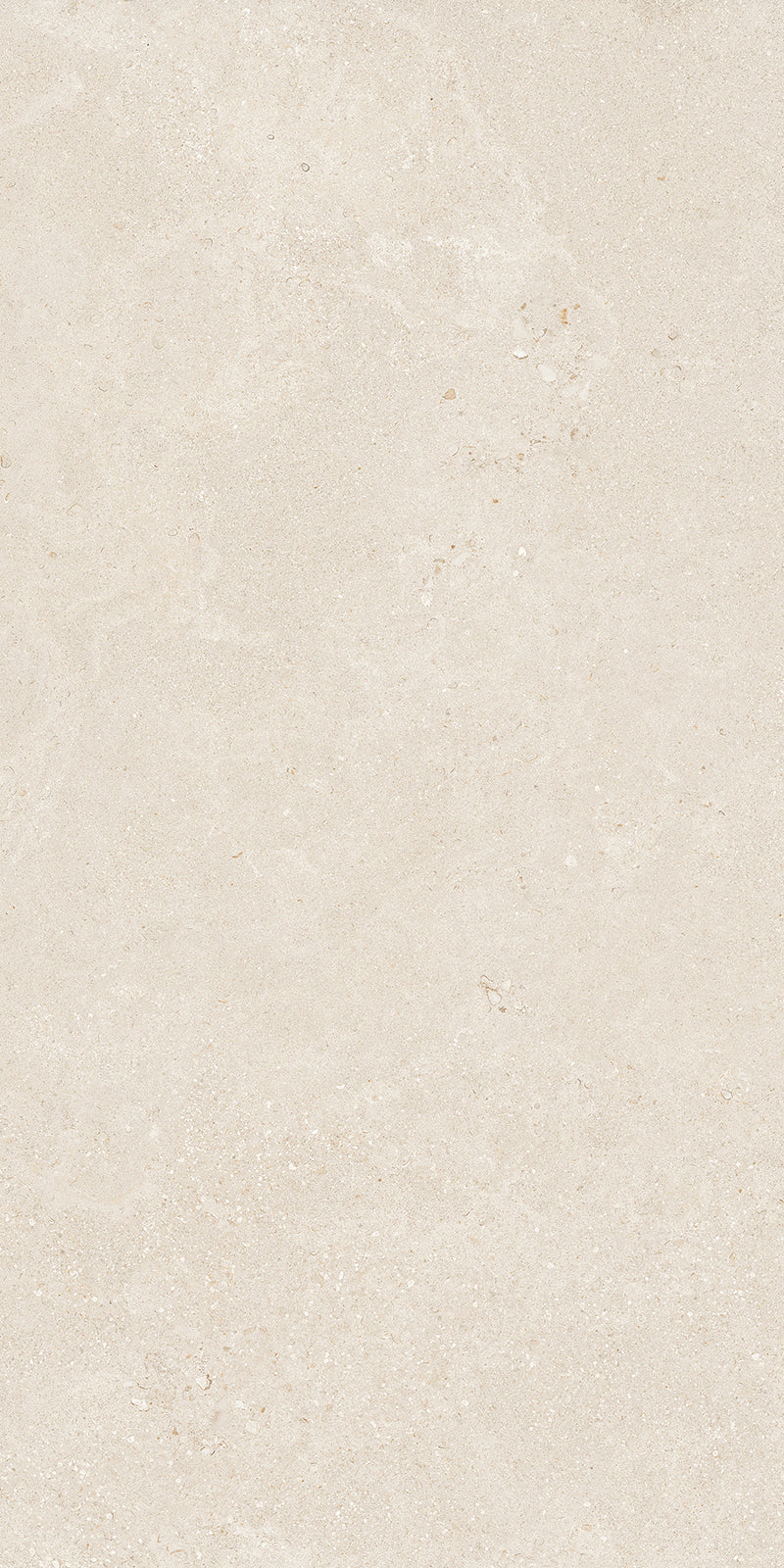 BATCH-040326-TAGINA