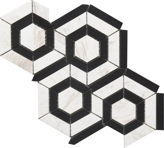 Black & White Hexagon 9x12 Marble Mosaic USTMBWHX012