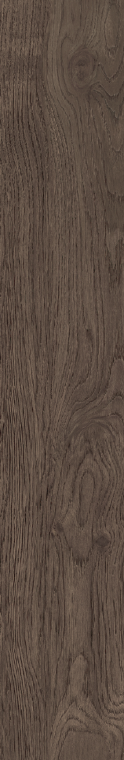 BATCH-050726-LAMOSAUSA